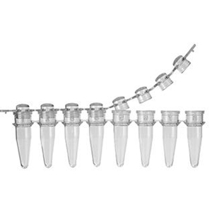 0.2 ml 8-Tube PCR Strips and Domed Cap Strips, high profile
